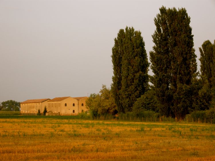 emilia romagna - countryside