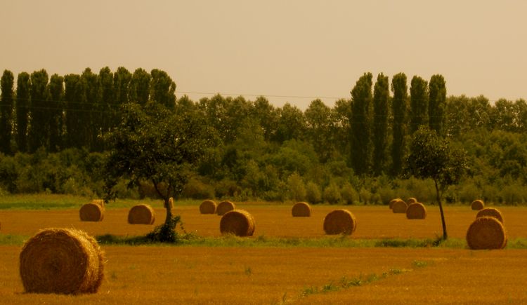 emilia romagna - countryside