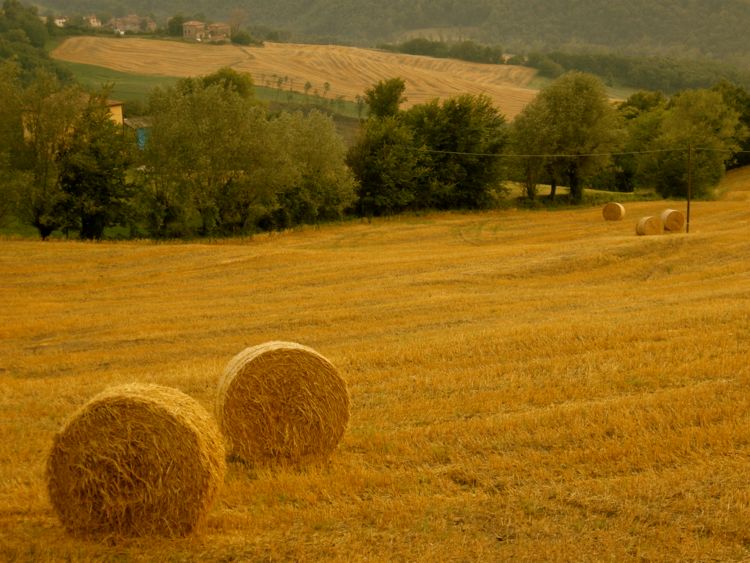 emilia romagna - countryside