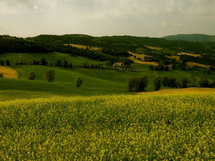toscana - campagna
