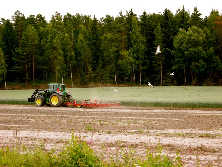 Finland - southern region