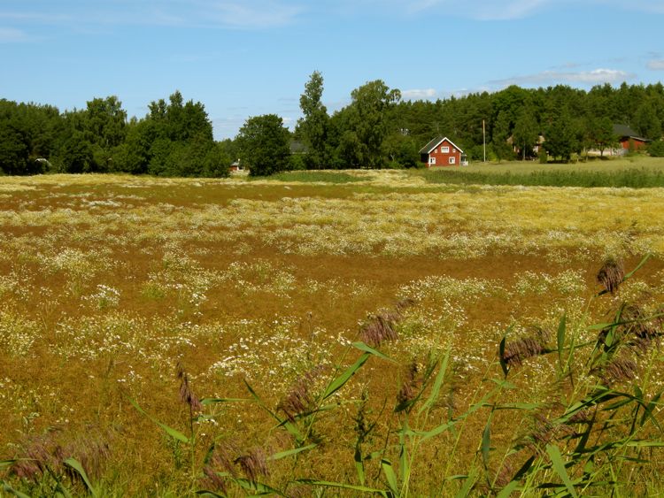 Finland - Turku archipelago