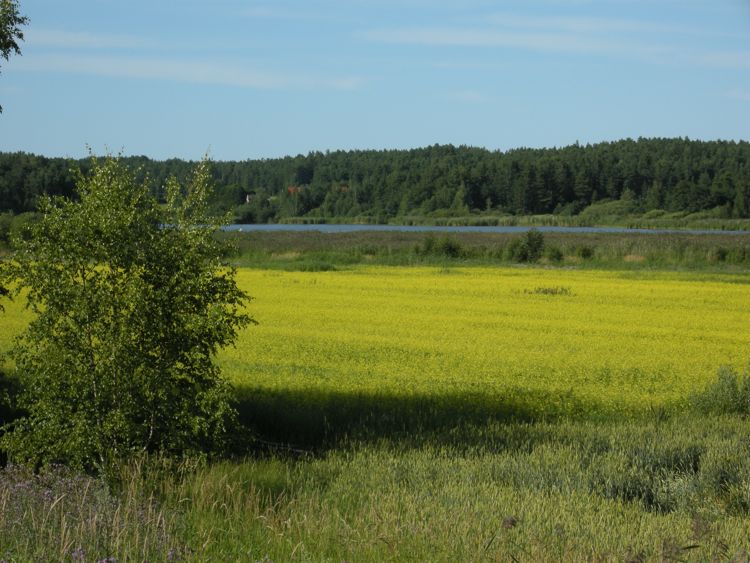 Finland - Turku archipelago