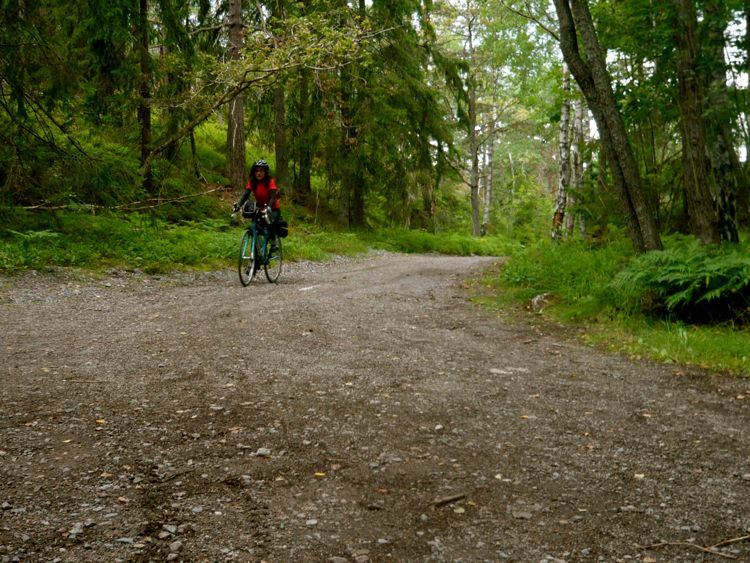 Sweden - countryside south of Stockholm