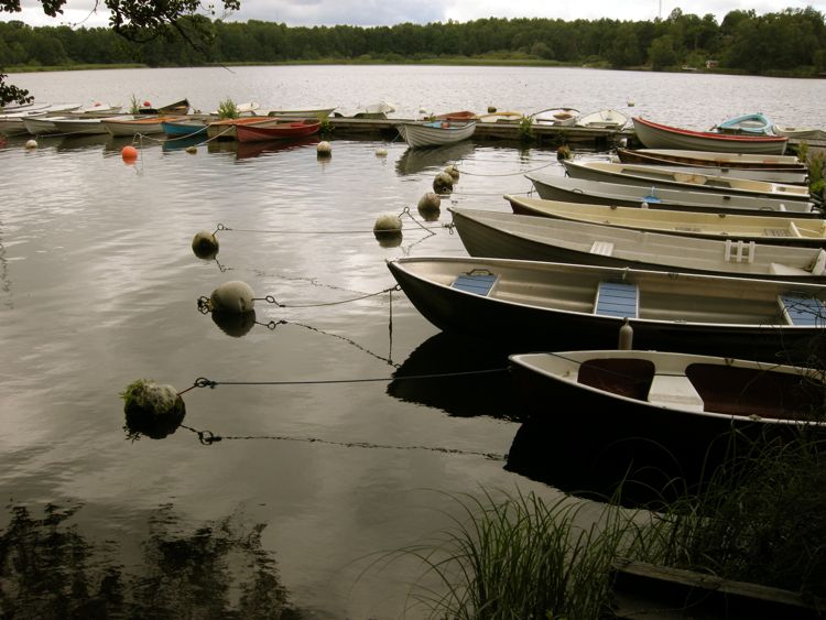 Sweden - countryside south of Stockholm