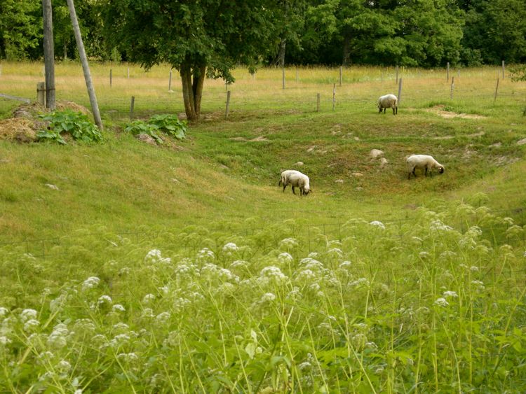 Latvia - countryside in the Gaujas national park