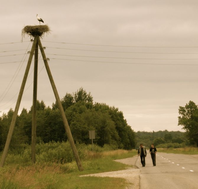 Latvia - countryside in the northern region