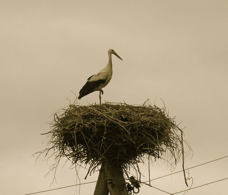 Latvia - countryside in the northern region
