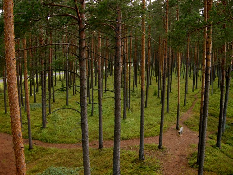 Estonia - south-western region