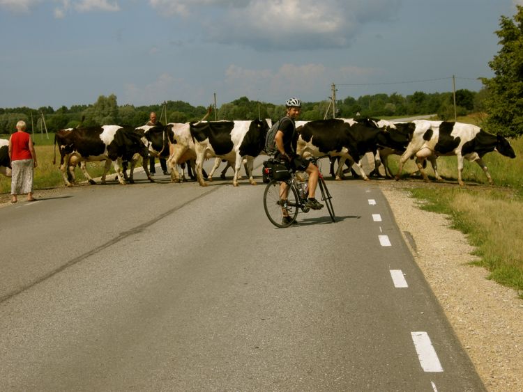 Estonia - western region