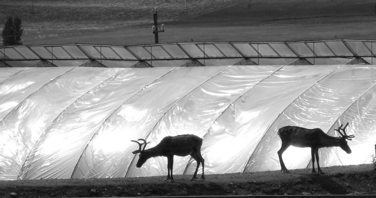 Finland - southern region