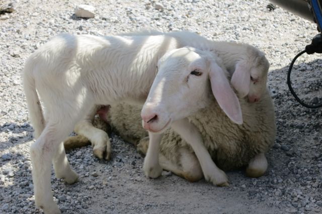 triglav national park