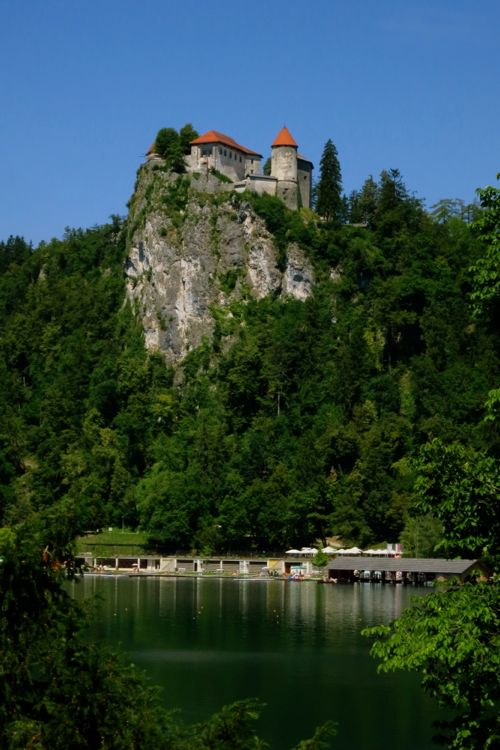 bled