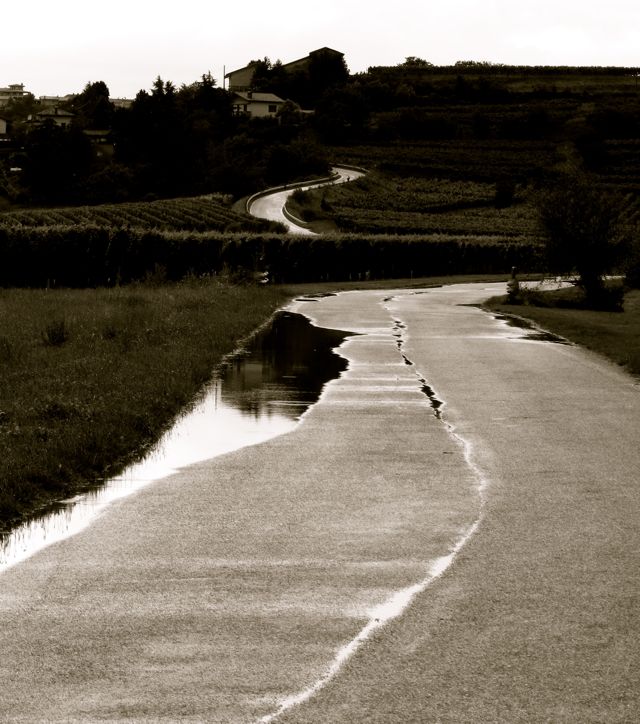 friuli - wine region