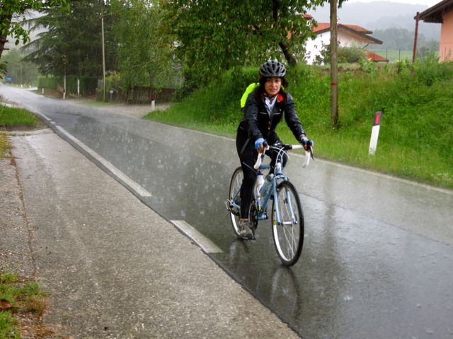 friuli - wine region (in the rain)