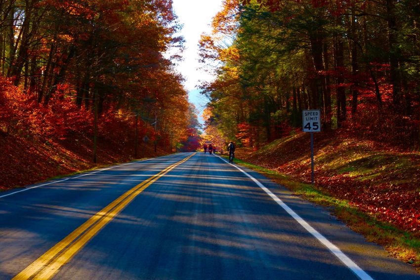 catskills - november 2017