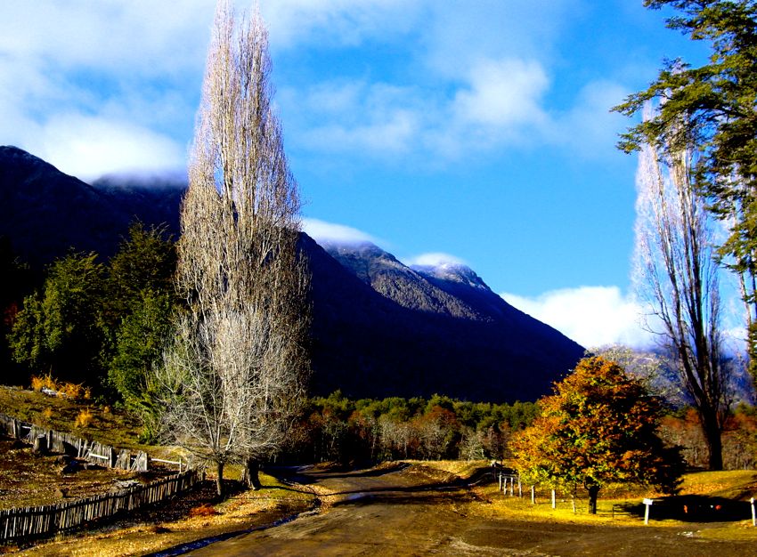 patagonia - lake district (2007)