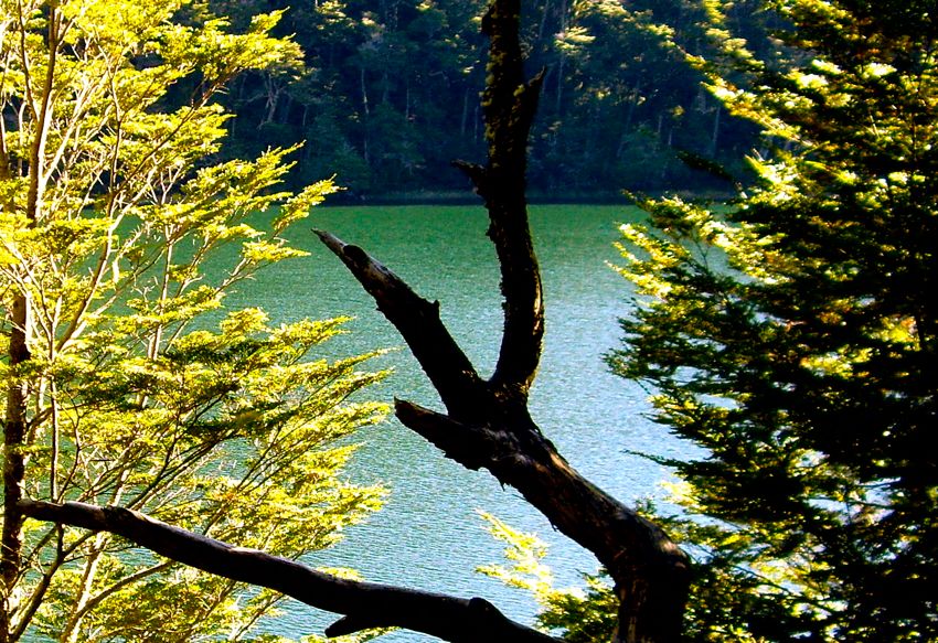 patagonia - lake district (2007)