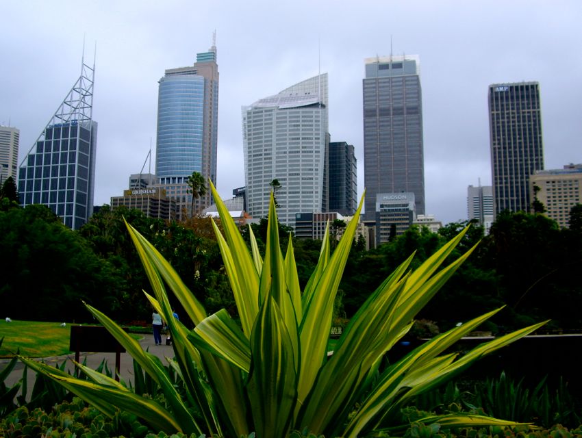 sydney - city view from the botanic gardens