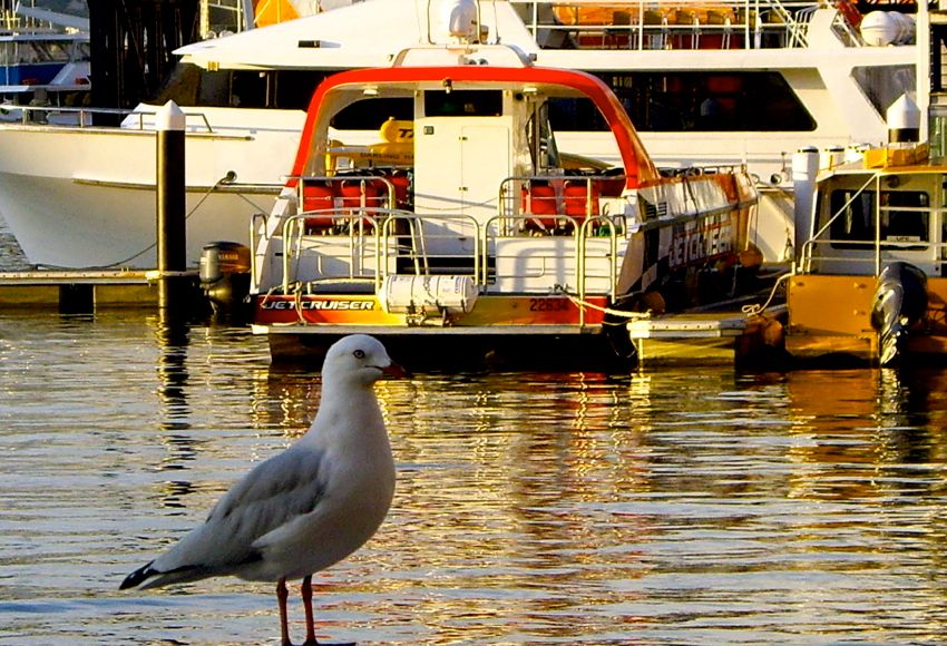 sydney - darling harbour