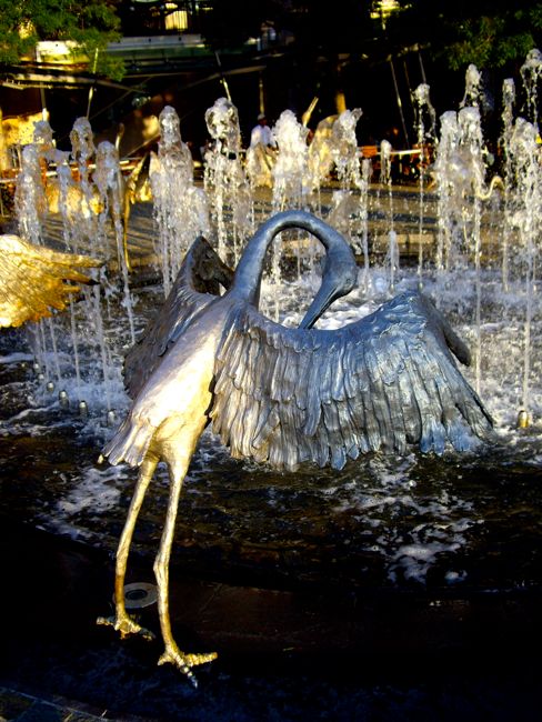 sydney - darling harbour