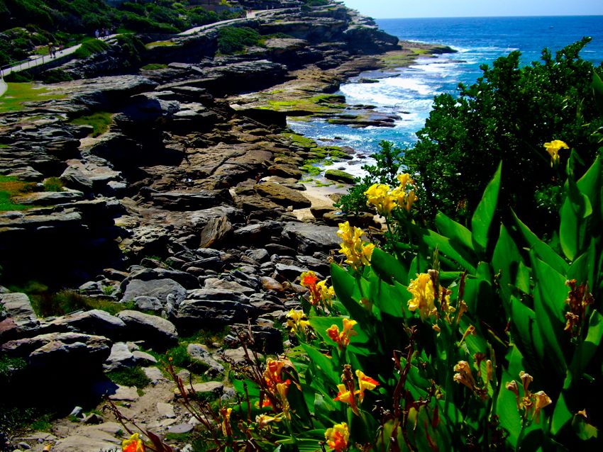 sydney - bondi beach