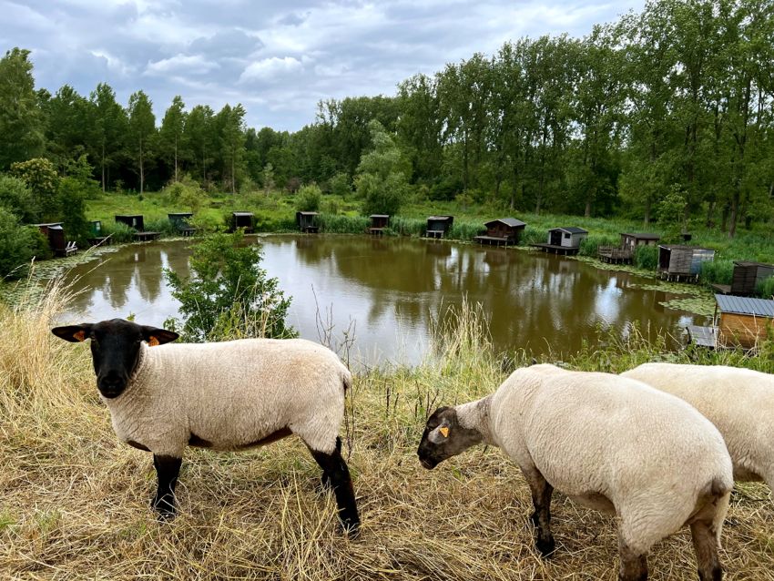 flanders countryside
