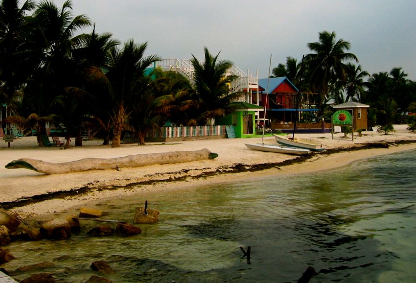 caye caulker
