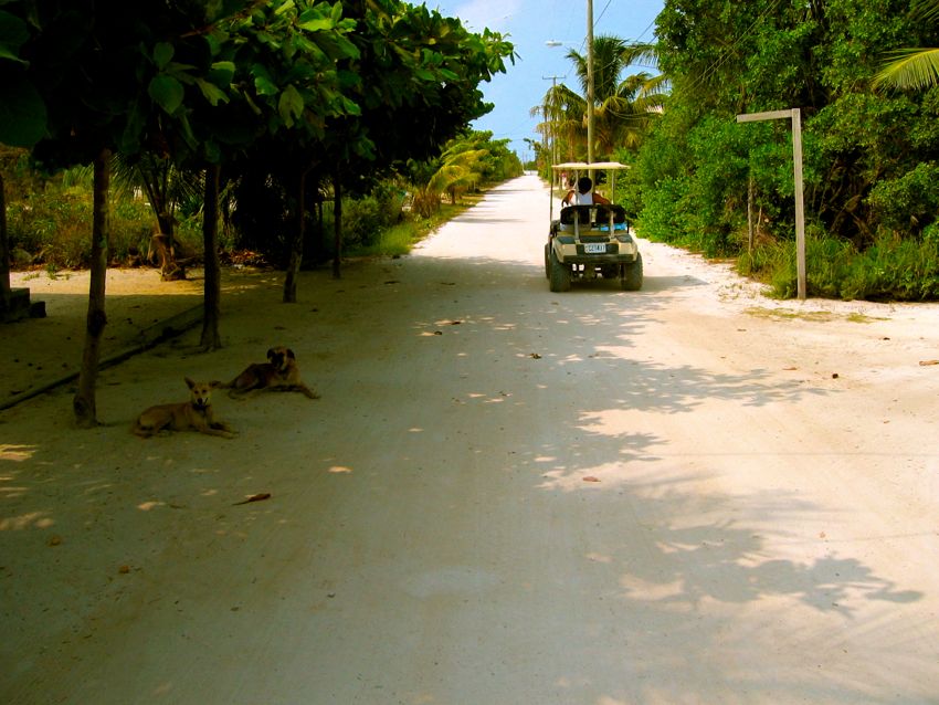 caye caulker