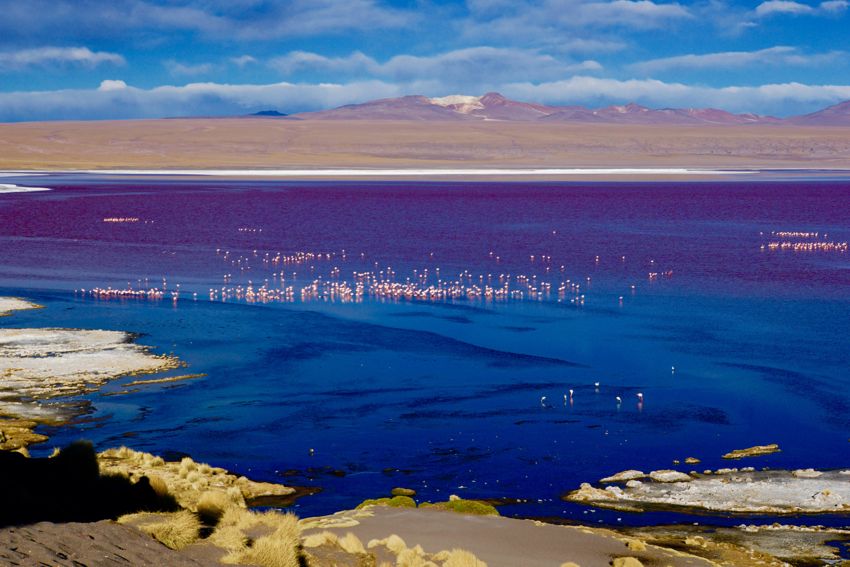 laguna colorada