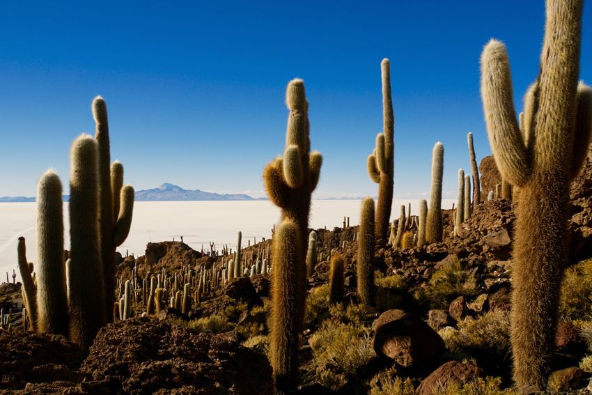 salar de uyuni