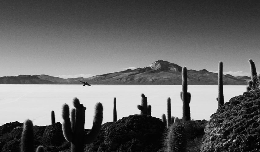 salar de uyuni