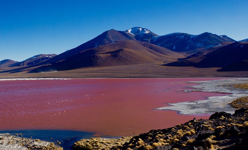laguna colorada
