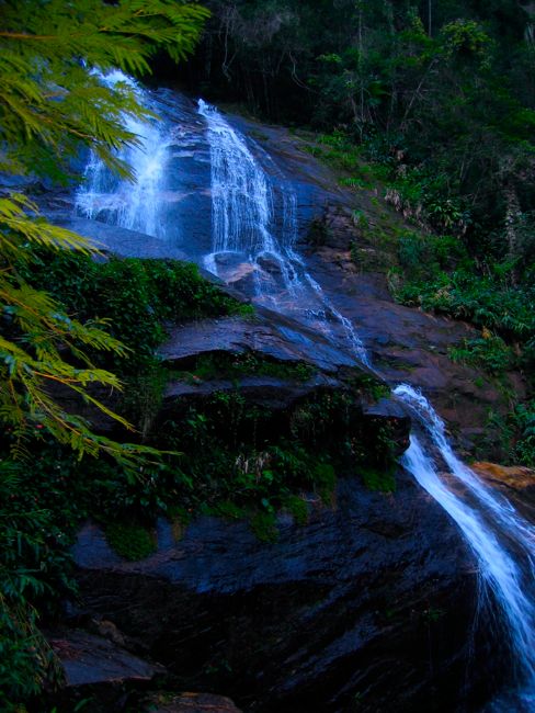 around rio de janeiro - tijuca forest