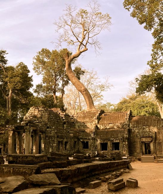 siem reap