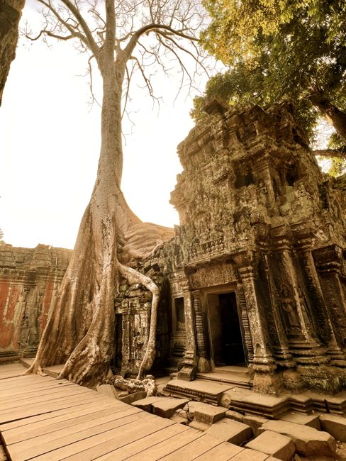 siem reap