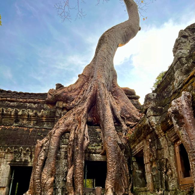 siem reap