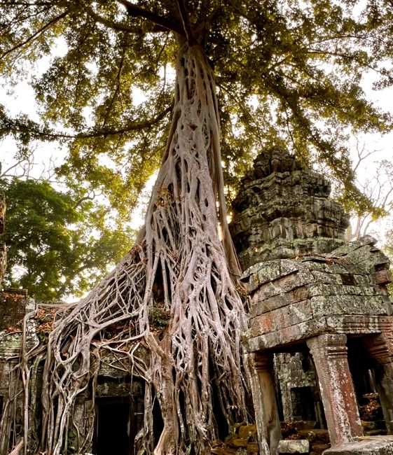 siem reap