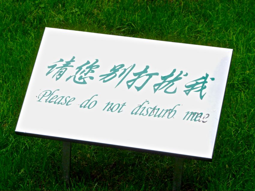 beijing - grass in garden