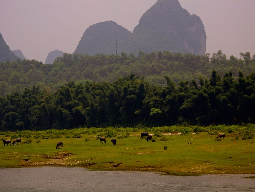 li river