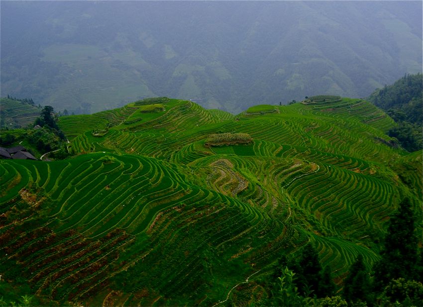 longji rice terraces