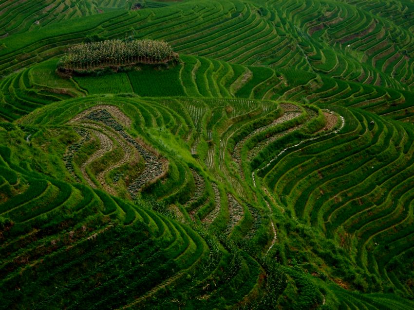 longji rice terraces