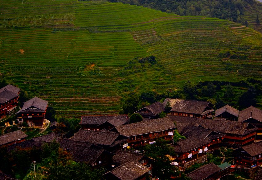 rice terraces and village of pingan