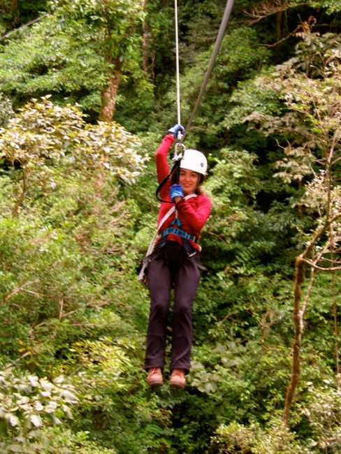 monteverde - cloud forest