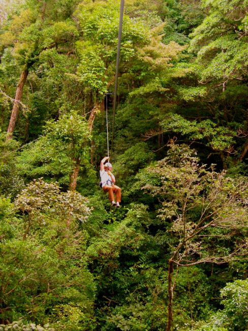 monteverde - cloud forest