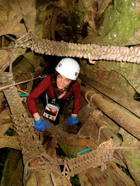 monteverde - cloud forest