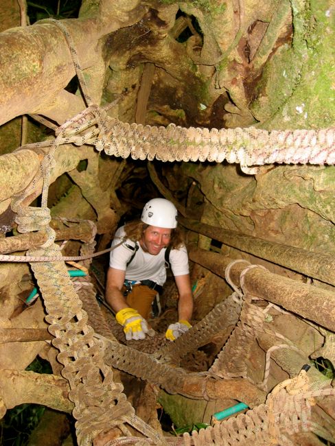 monteverde - cloud forest