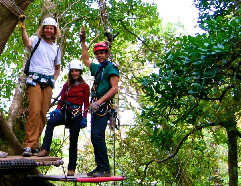 monteverde - cloud forest