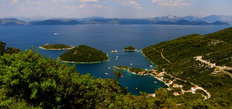 mljet