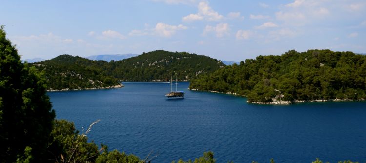 mljet
